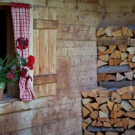 Saukaserstub'N Apartments - Ferienwohnung Schuetzkogel Jochberg Luaran gambar